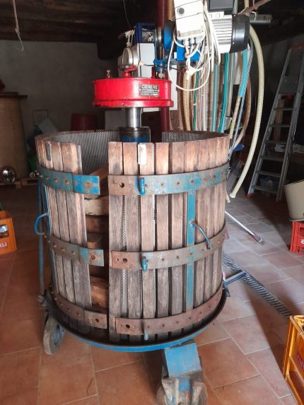 TORCHIO IDRAULICO DA UVA